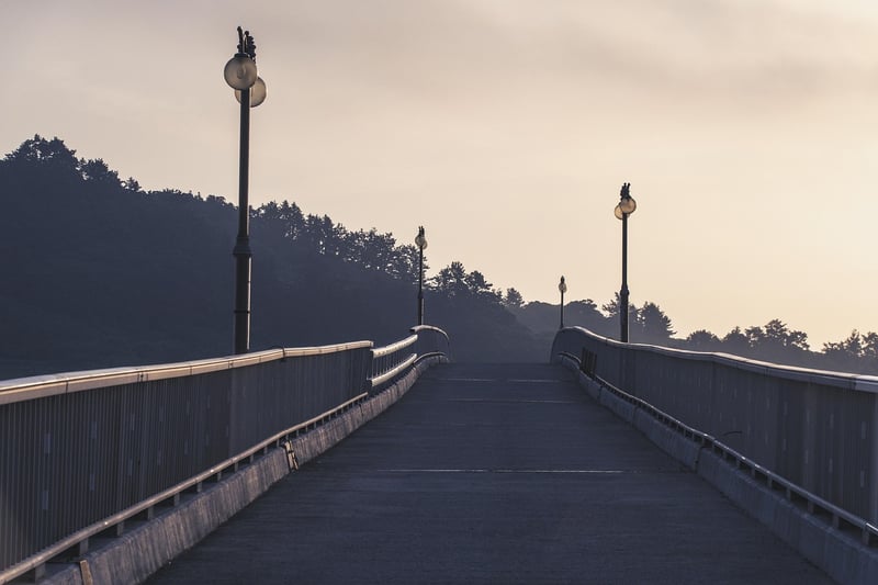Fork in the road